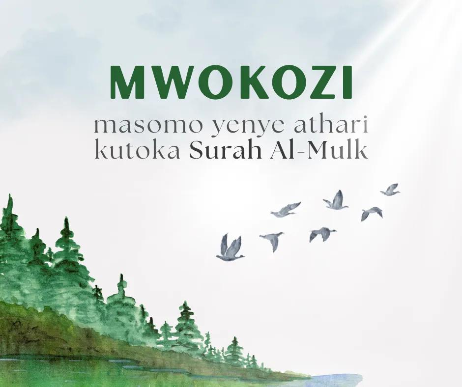 Mwokozi: Masomo yenye Athari Kubwa Kutoka Surah Al-Mulk