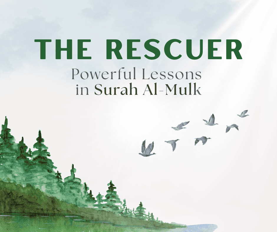 The Rescuer