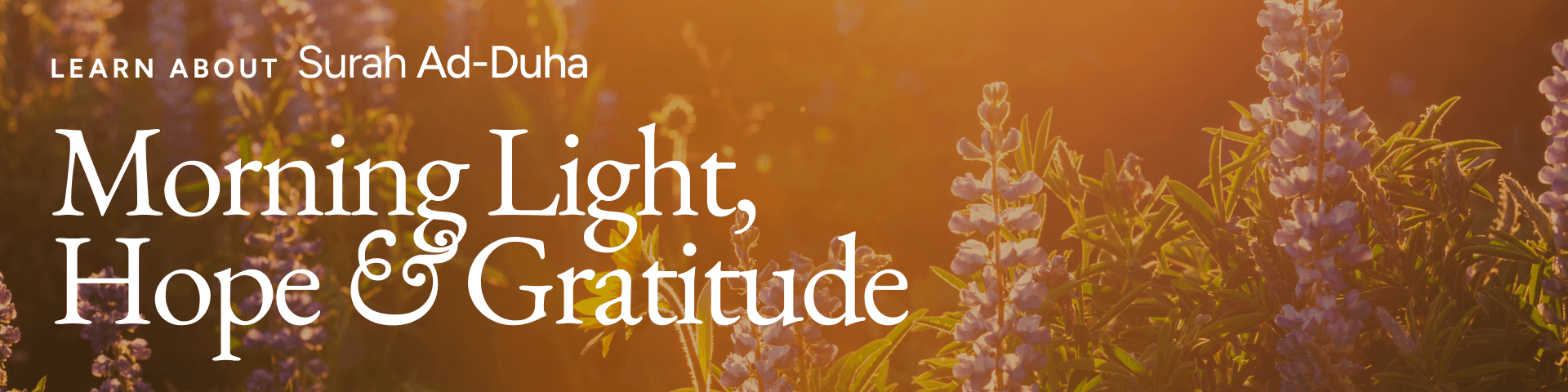 Surah Ad-Duha: Morning Light, Hope and Gratitude