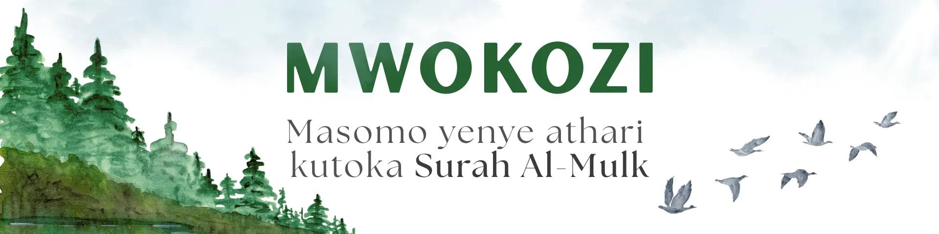 Mwokozi: Masomo yenye Athari Kubwa Kutoka Surah Al-Mulk
